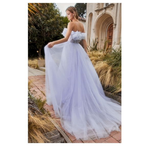 A1082W Formal Gown - Picture 2 of 3